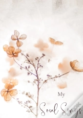 My Soul Sings