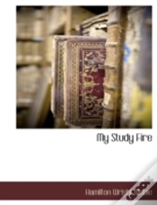 Capa do artigo My Study Fire