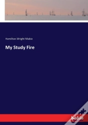 Capa do artigo My Study Fire