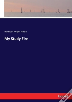 Capa do artigo My Study Fire