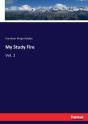 My Study Fire - Preview