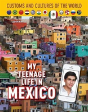 My Teenage Life In Mexico - Preview