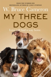 Capa do artigo My Three Dogs