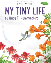 Capa do artigo My Tiny Life By Ruby T. Hummingbird