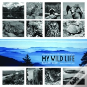 Capa do artigo My Wild Life