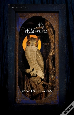 Capa do artigo My Wilderness
