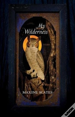 Capa do artigo My Wilderness