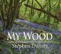My Wood - Preview