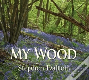 Capa do artigo My Wood