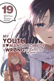 Capa do artigo My Youth Romantic Comedy Is Wrong, As I Expected @ Comic, Vol. 19 (Manga)