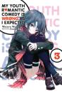 My Youth Romantic Comedy Is Wrong, As I Expected, Vol. 3 (Novel) - Preview