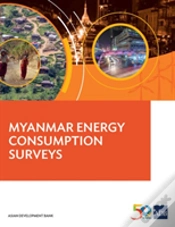 Capa do artigo Myanmar Energy Consumption Surveys