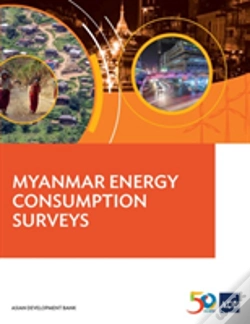 Capa do artigo Myanmar Energy Consumption Surveys
