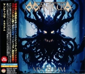 Capa do artigo Mycelium - CD