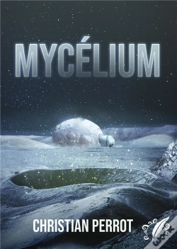 Capa do artigo Mycélium