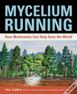 Capa do artigo Mycelium Running