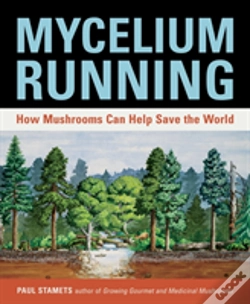 Capa do artigo Mycelium Running
