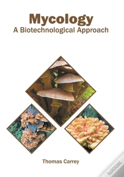 Capa do artigo Mycology