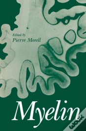 Capa do artigo Myelin