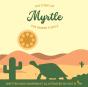 Myrtle The Desert Turtle - Preview