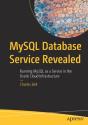 Mysql Database Service Revealed - Preview
