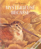 Capa do artigo Mysterieuse Becasse