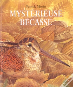 Capa do artigo Mysterieuse Becasse