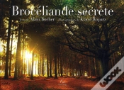 Capa do artigo Mystérieuse Brocéliande
