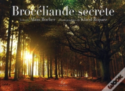 Capa do artigo Mystérieuse Brocéliande