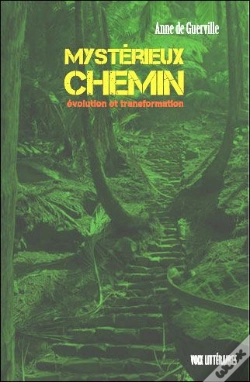 Capa do artigo Mystérieux Chemin