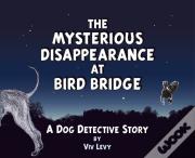 Mysterious Disappearance At Bird Bridge