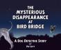 Mysterious Disappearance At Bird Bridge - Preview