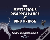 Mysterious Disappearance At Bird Bridge