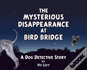 Capa do artigo Mysterious Disappearance At Bird Bridge