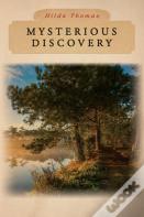 Mysterious Discovery