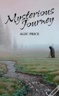 Capa do artigo Mysterious Journey