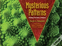 Capa do artigo Mysterious Patterns