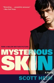 Capa do artigo Mysterious Skin