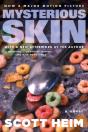 Mysterious Skin - Preview