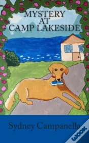 Capa do artigo Mystery At Camp Lakeside
