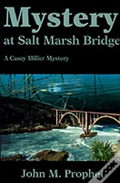 Capa do artigo Mystery At Salt Marsh Bridge