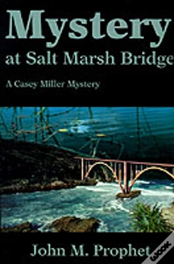 Capa do artigo Mystery At Salt Marsh Bridge