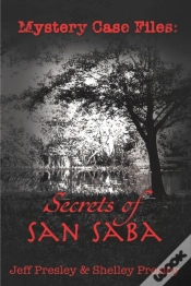 Capa do artigo Mystery Case Files