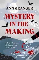 Mystery In The Making