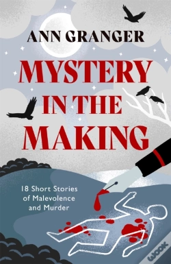 Capa do artigo Mystery In The Making