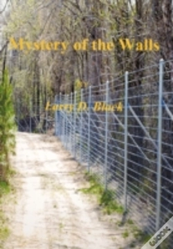 Capa do artigo Mystery Of The Walls