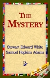 Capa do artigo Mystery
