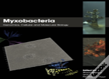 Myxobacteria
