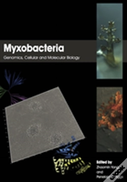 Capa do artigo Myxobacteria