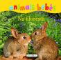 Na floresta - Preview